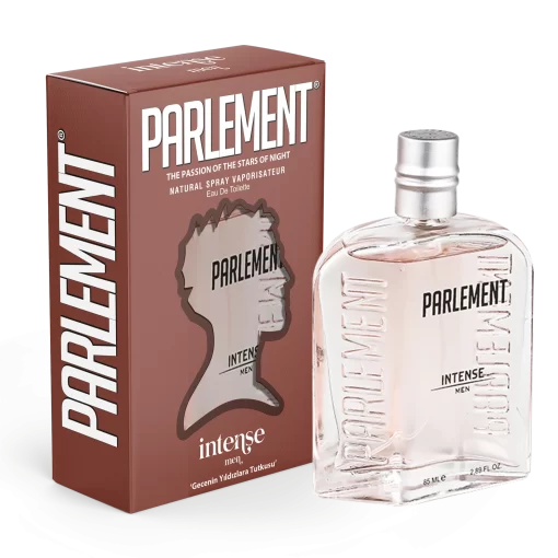 ERKEK PARFÜM 85 ML INTENSE